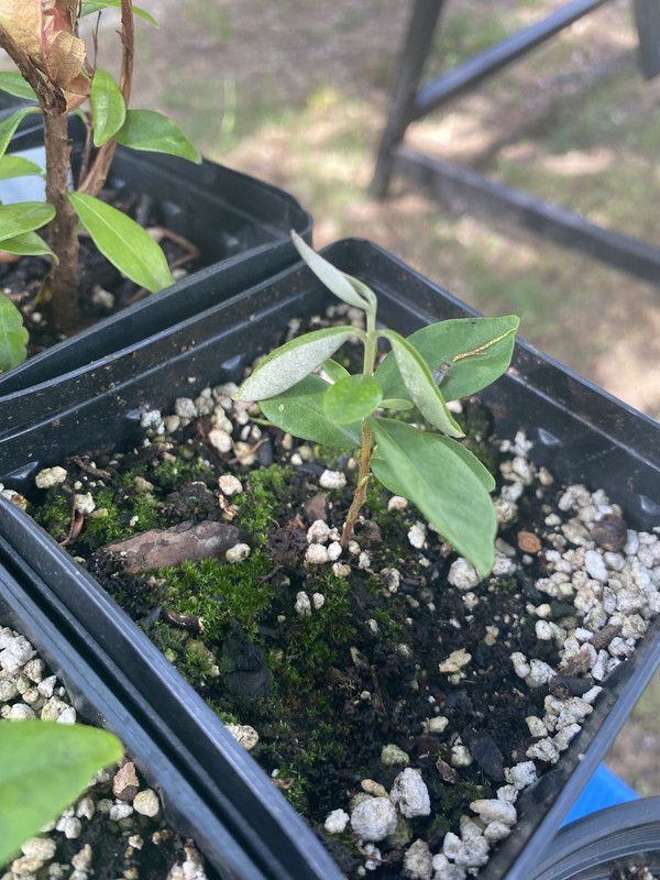 58496491-BD7E-4C98-A482-CAB1305DCCDC