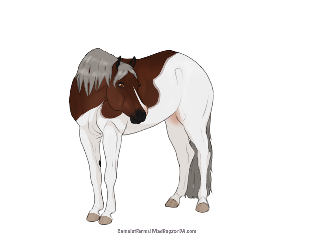 4E361723-1D2D-4198-A896-EA2E52D469FF