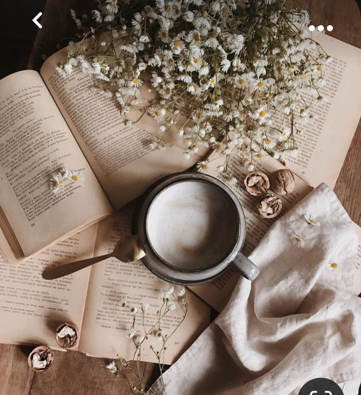 Screenshot_20231015_214025_Pinterest