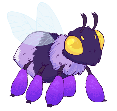 unknown-4.png