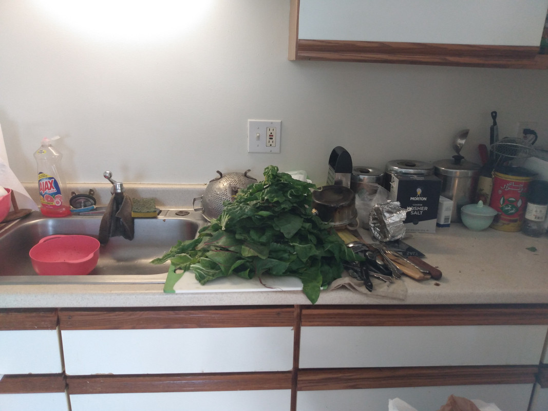 IMG_20220415_161423_01