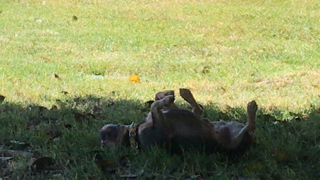 8B57BBF5-1C4F-4E7F-9104-8E74400DC1E9