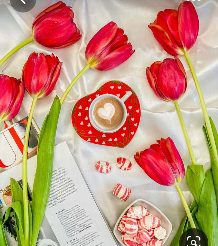 Screenshot_20230517_000923_Pinterest