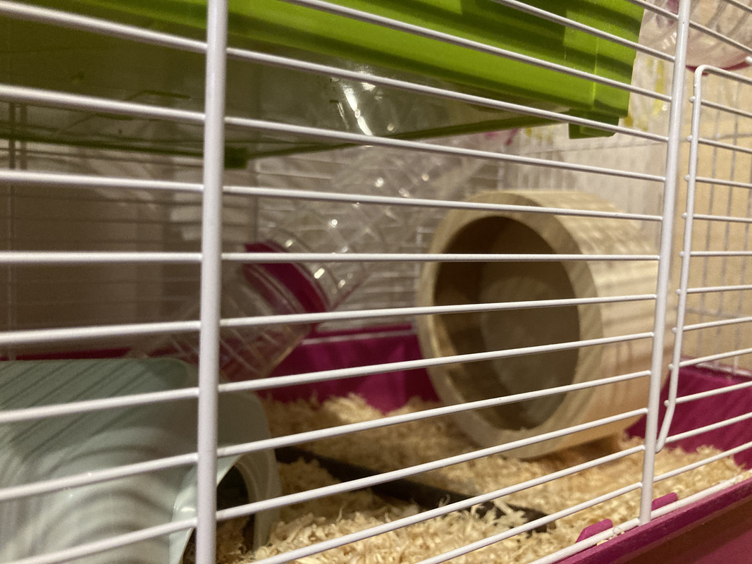 E7A02F8F-E8B8-47B6-9463-2C2C3F83070F