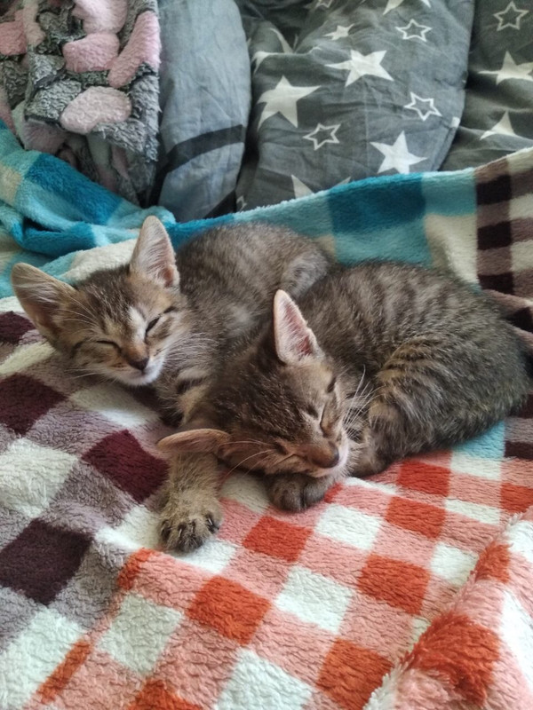 C109C28F-56C5-494C-B93D-C2FEE8B52EF3