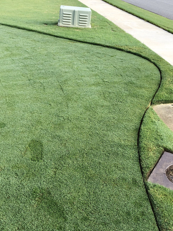 B9CF0D1F-F55C-46C5-A1F4-8404D26B7E65