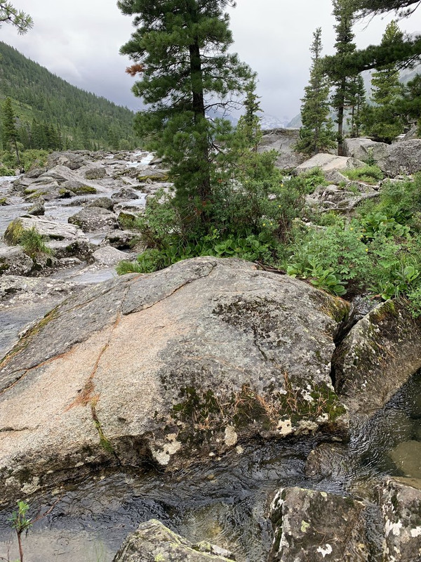 IMG_7843 - копия