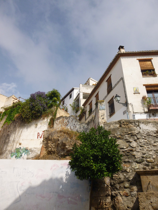 Corner of a pebble wall at the bottom of a hill of houses.  There is some graffiti on the white wall to the left, and a green tree growing out of the join between the white wall and the pebble wall.