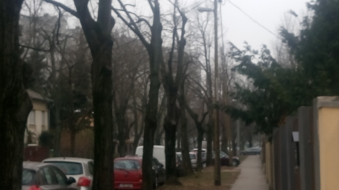 Kép