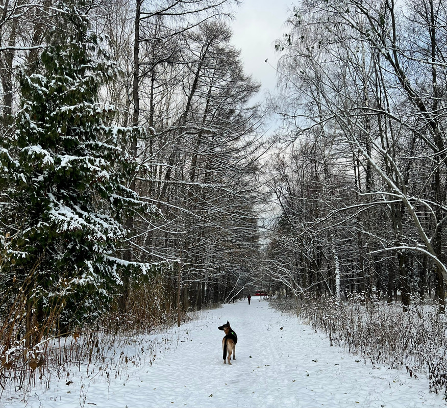 EF453BC4-49E9-4BA4-8CDC-7BB34FD59AB2