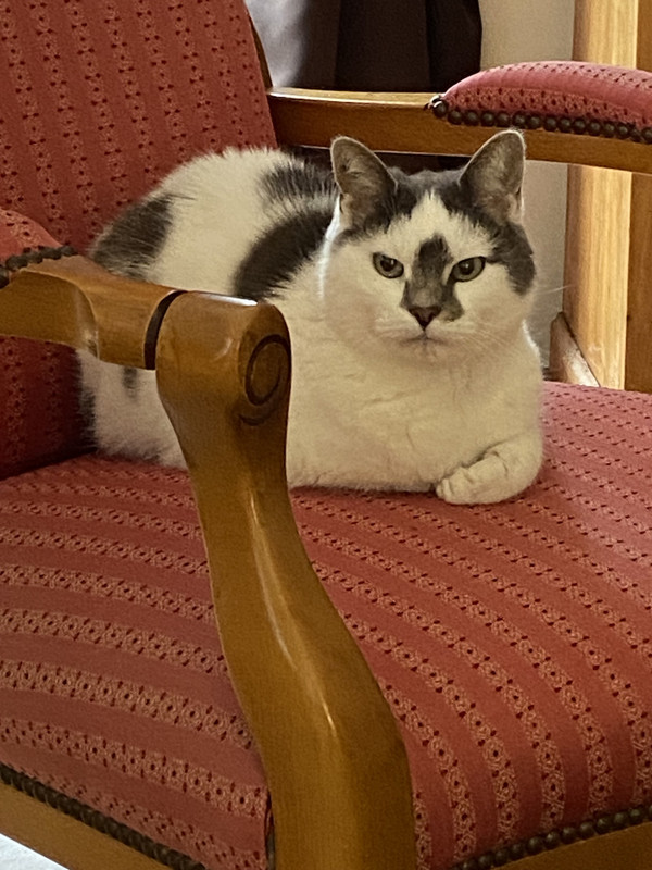 [Image: IMG-0953.jpg]