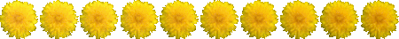314558-Mfui-A4-RD