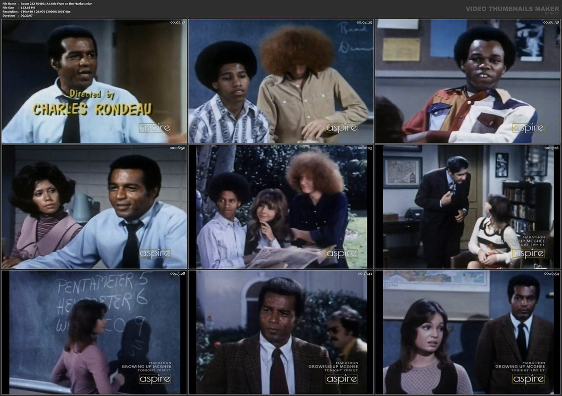 Room 222 S04E01 A Little Flyer on the Market.mkv