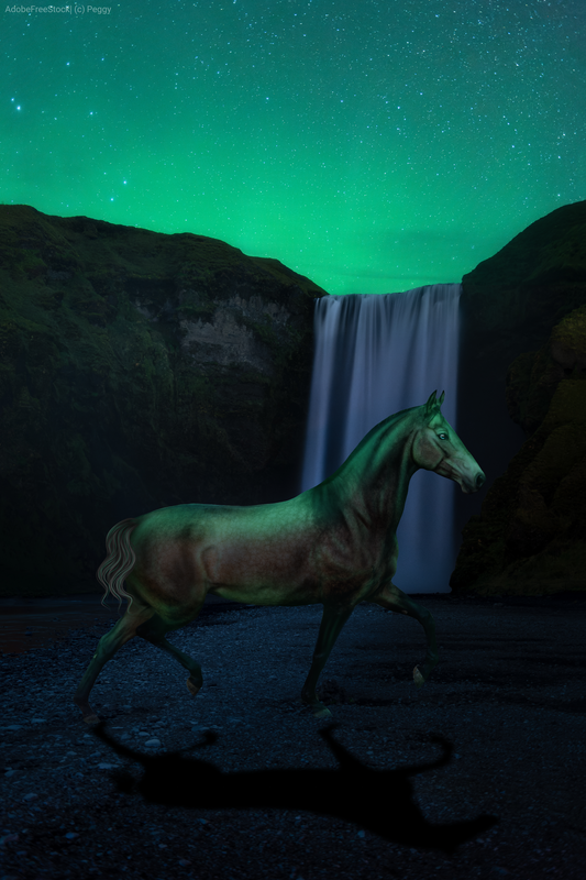 Northern-Lights.png