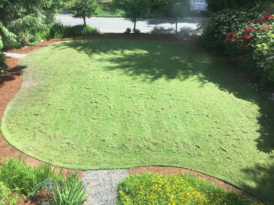 802F6873-A9BE-487D-9E56-17E3E0EE3183