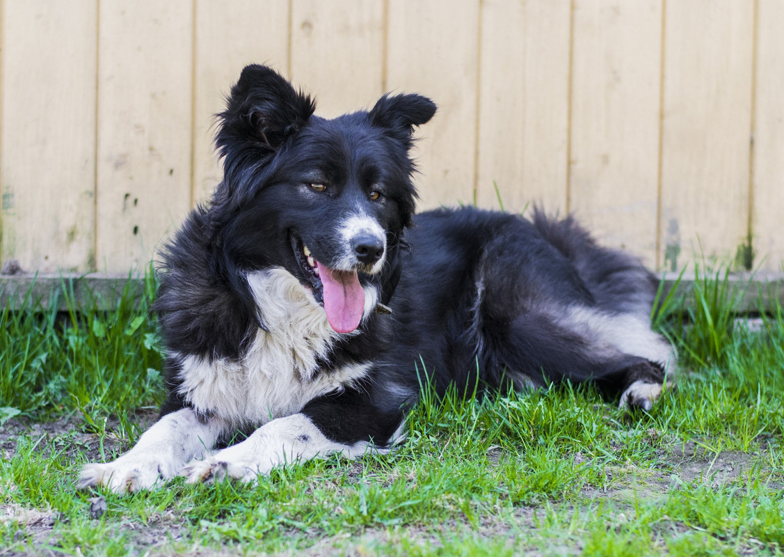 Фортуна_04_19_м4