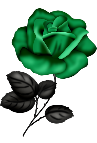 CSDesigns- El 36