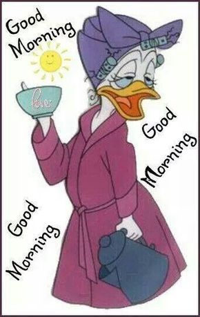 Good Morning, Good Afternoon, Good Evening, Good Night, Good Day!