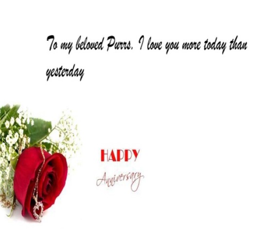 purrs-and-i-anniv