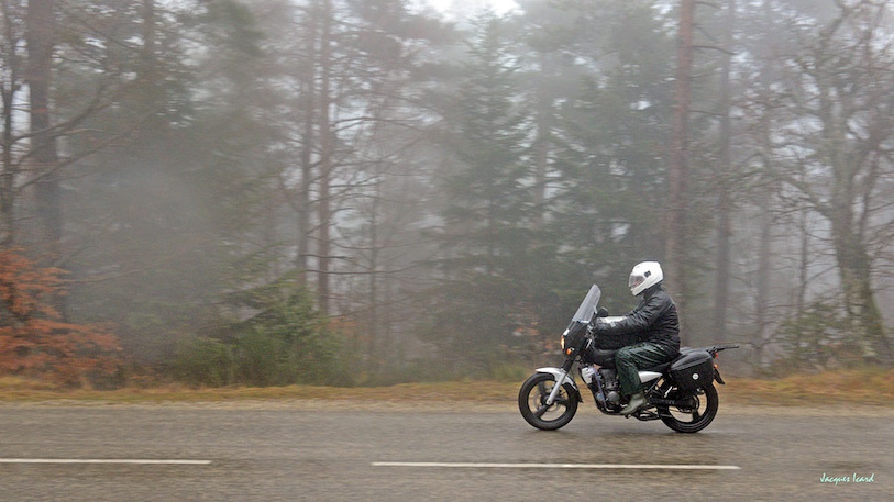 DSC-3925.jpg