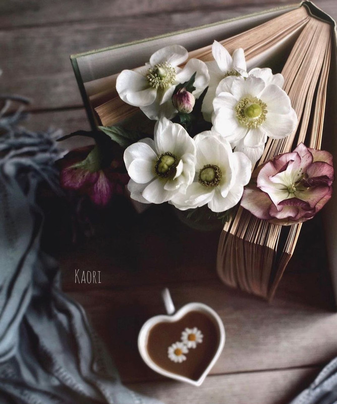 Screenshot_20231210_170837_Instagram