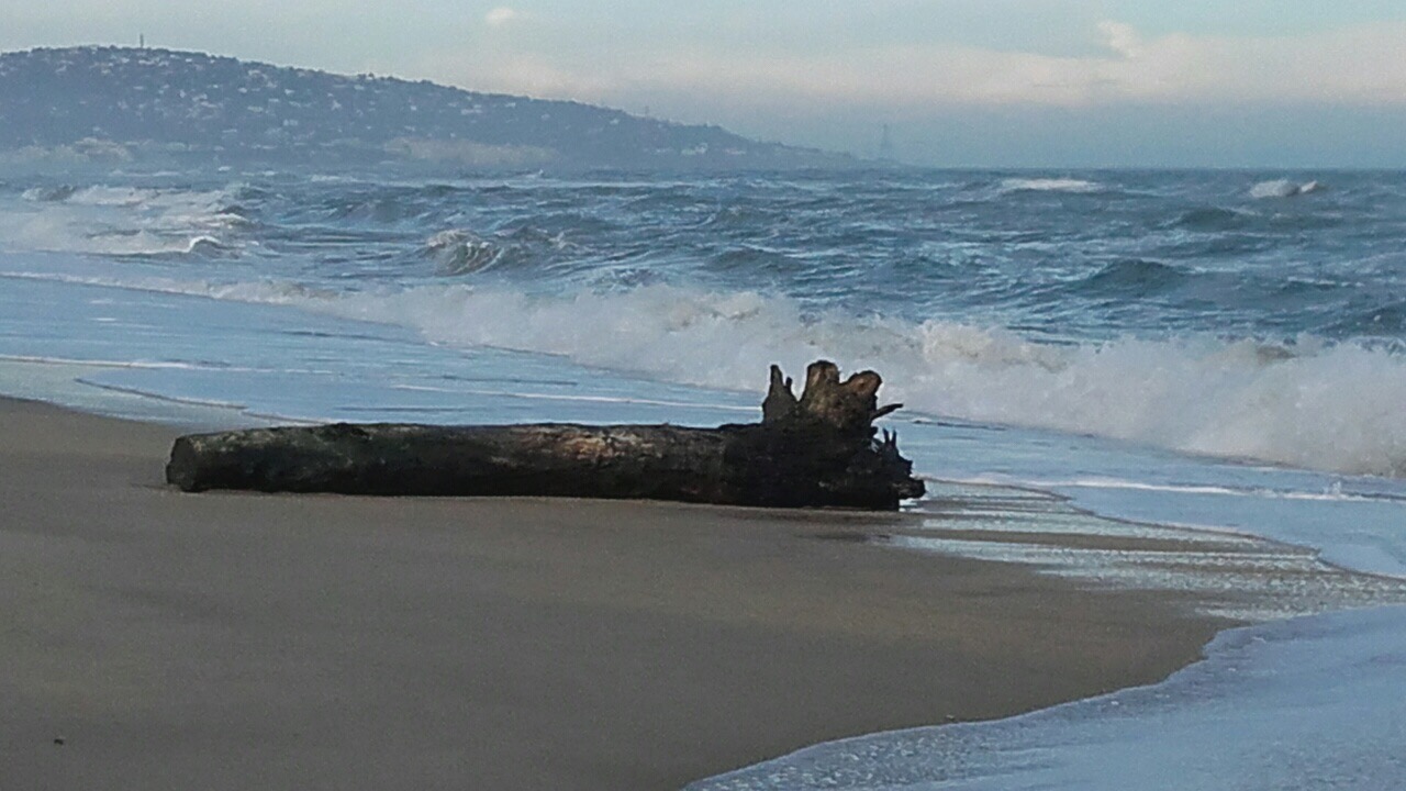 7F2B405A-82A0-4A54-B7D0-86501BAD41DA