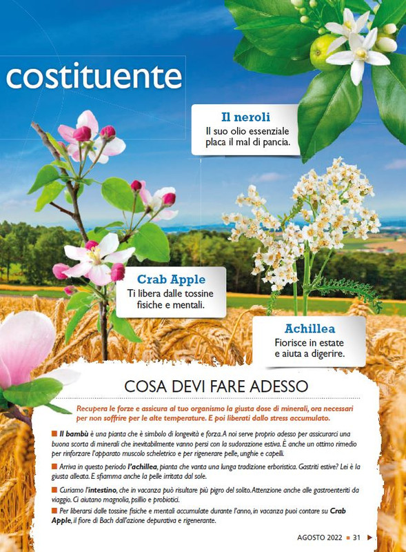 Sal Nat  Ago 2022 (2)