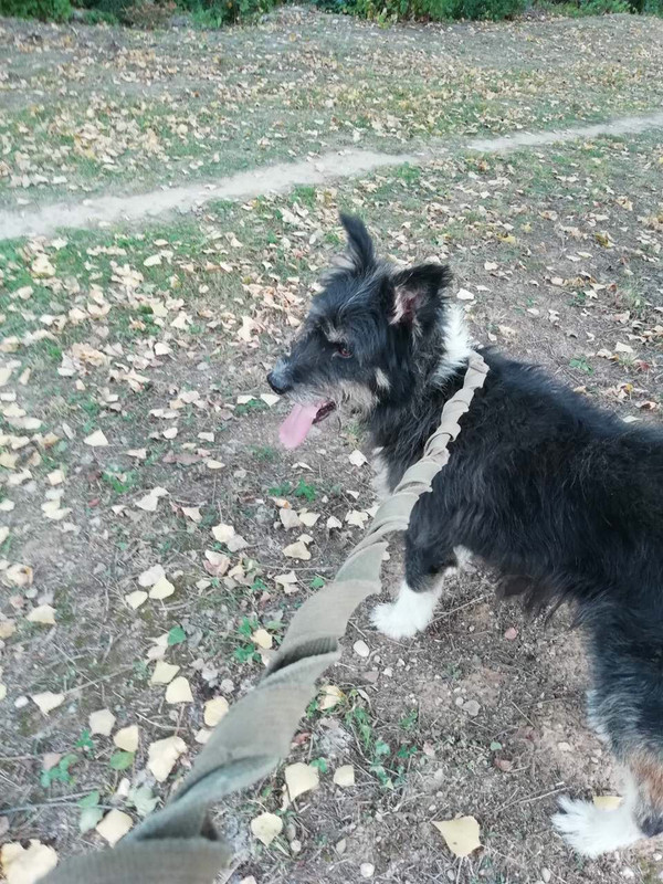 0A300F4D-0228-4E89-B94B-7BDCDF203596