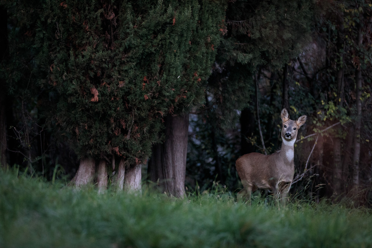 7AE8794A-3B7B-4822-A78B-567C50FF5642