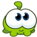 amnyasha
