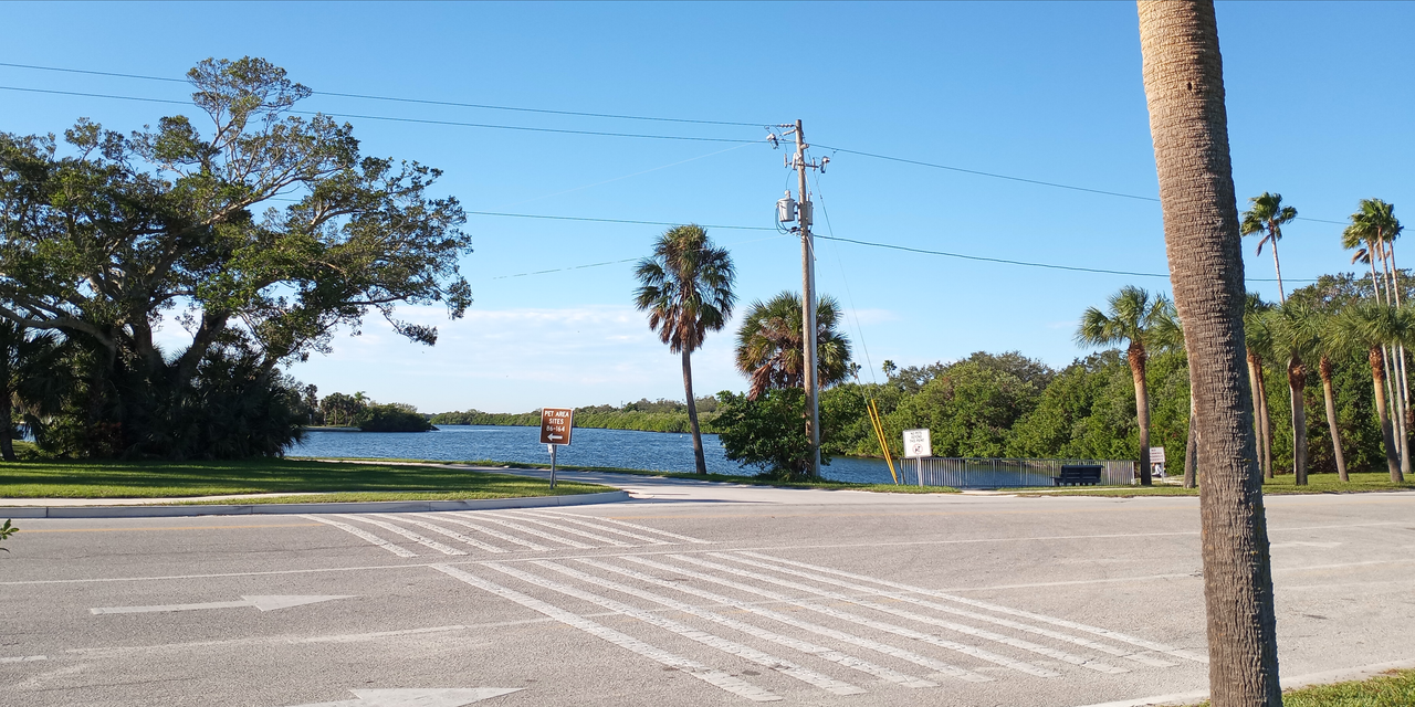 [Image: Tampa10.png]