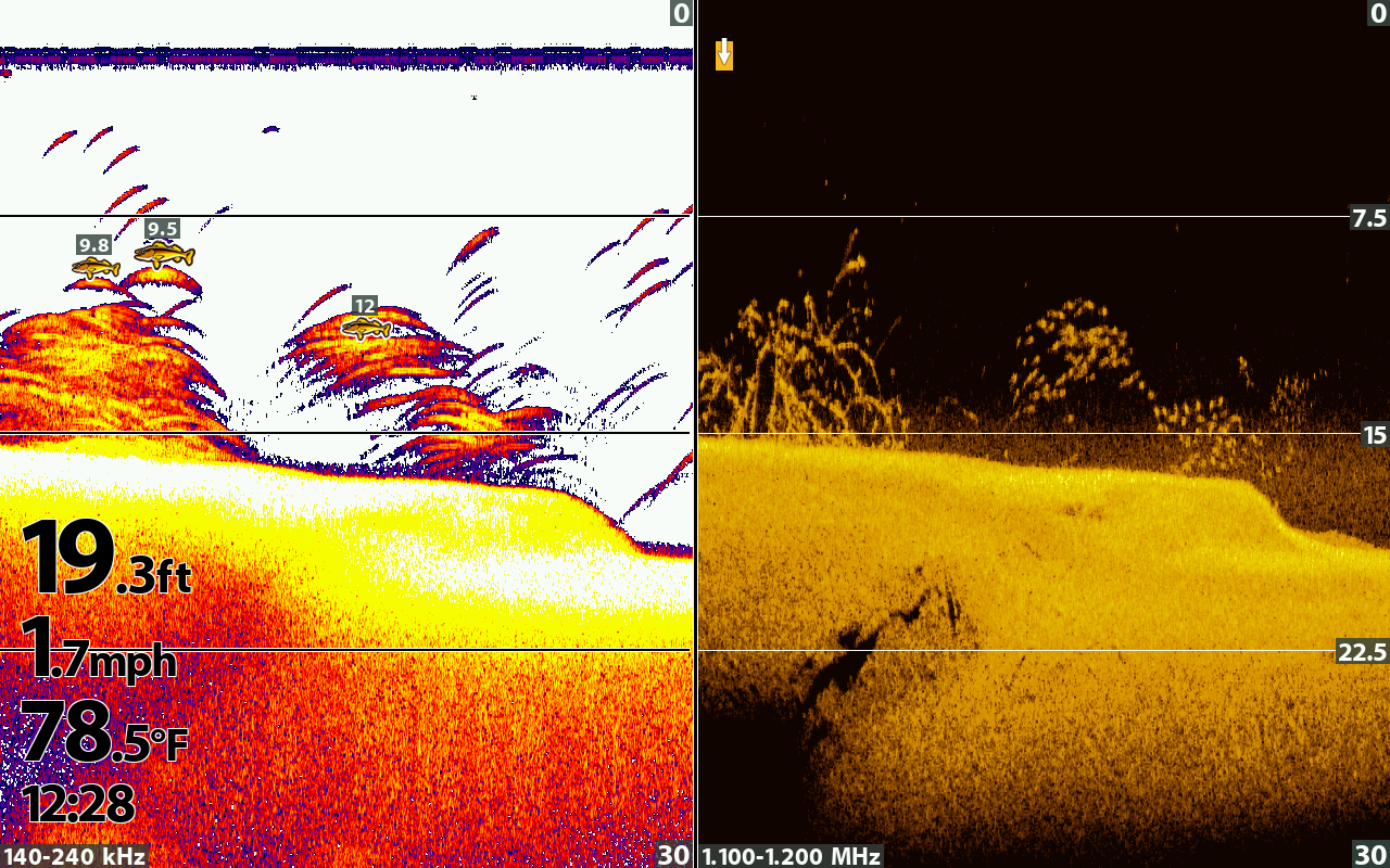 Helix 10 2D sonar vs DI