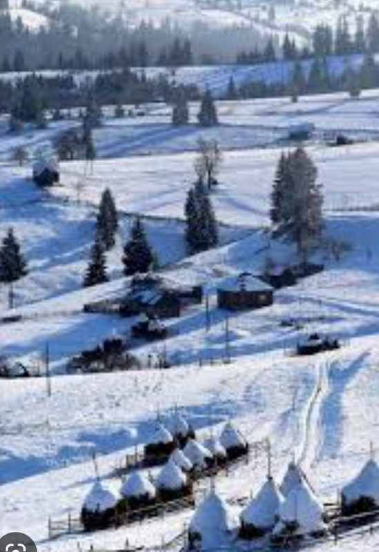 Screenshot_20221127-183517_Chrome