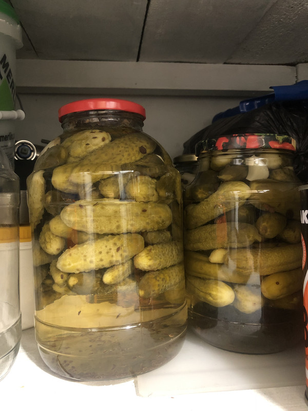 B1F3227B-60D2-41E0-9207-CD5DD54929FC