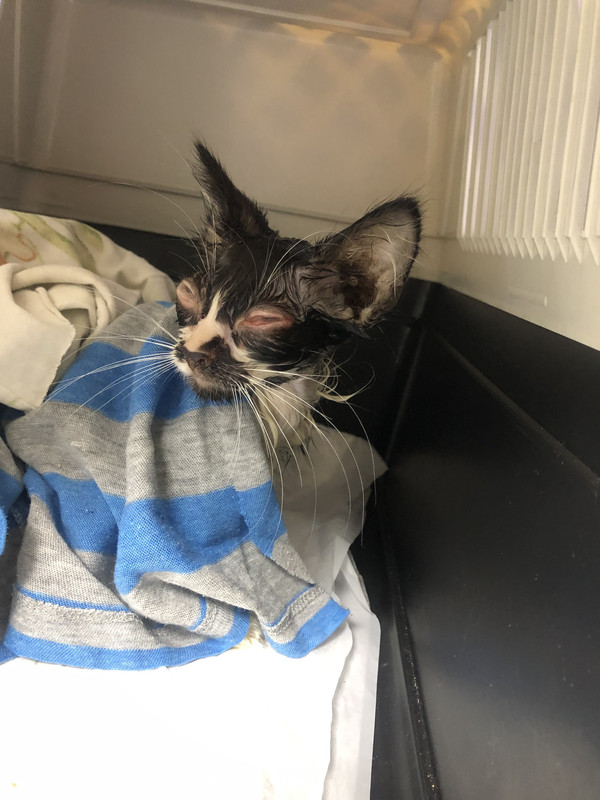 4F1A9A6D-DDB0-4E90-9122-89264D6EC3DD