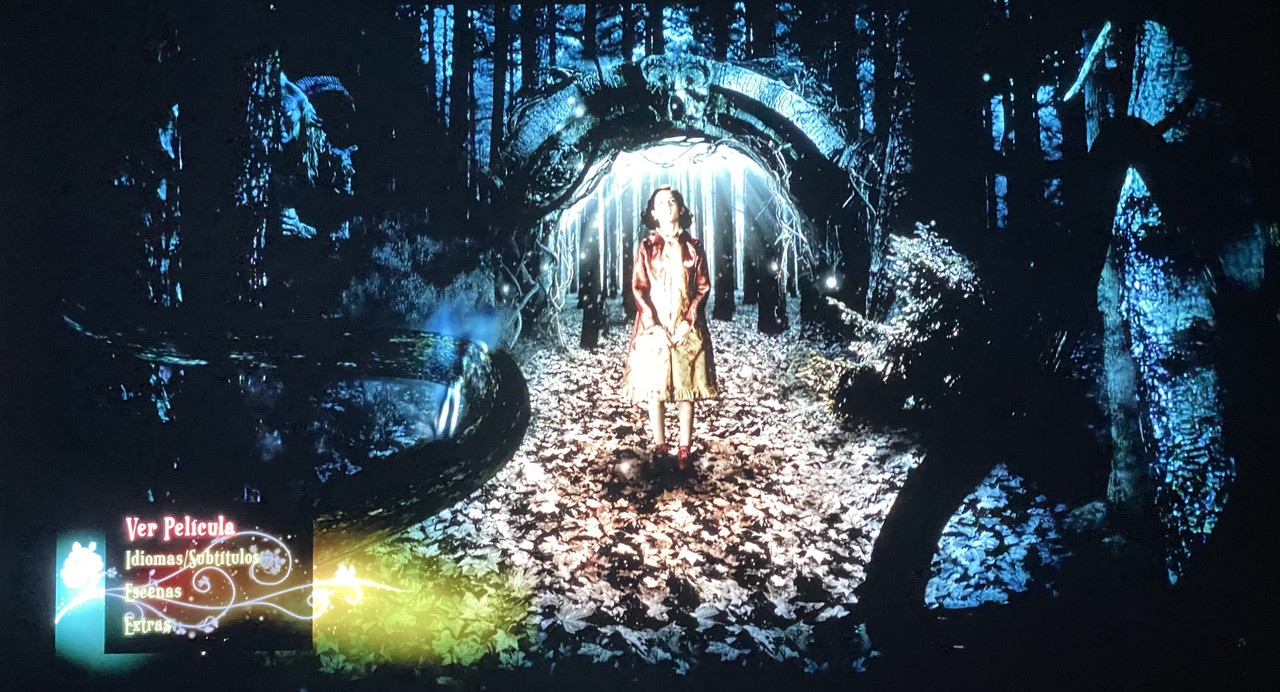 D4816407-50FB-4EED-A987-F222385A6048