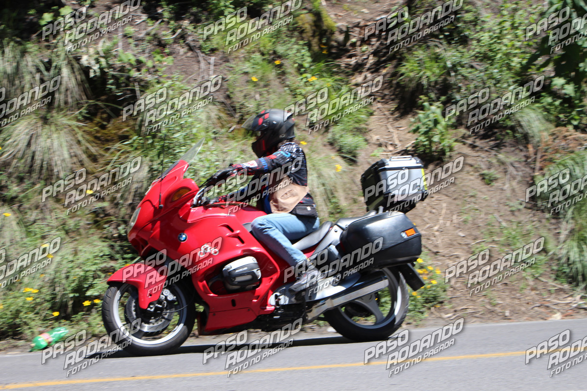 IMG 6746 wm 21362294 2 watermarked — Postimages