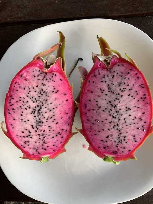 573D9CB1-C157-4F0E-B04C-A9787FBFD1E4