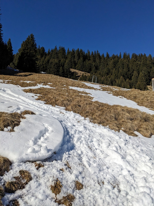 PXL_20230213_132908198