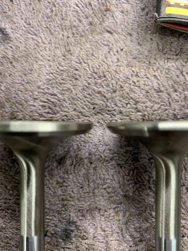 BEAE0519-1FC7-4FA2-BBDA-781C768CF41A