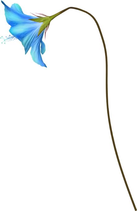 Alice In Wonderland (143)