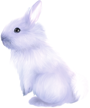 0_1c00e5_eb671196_orig