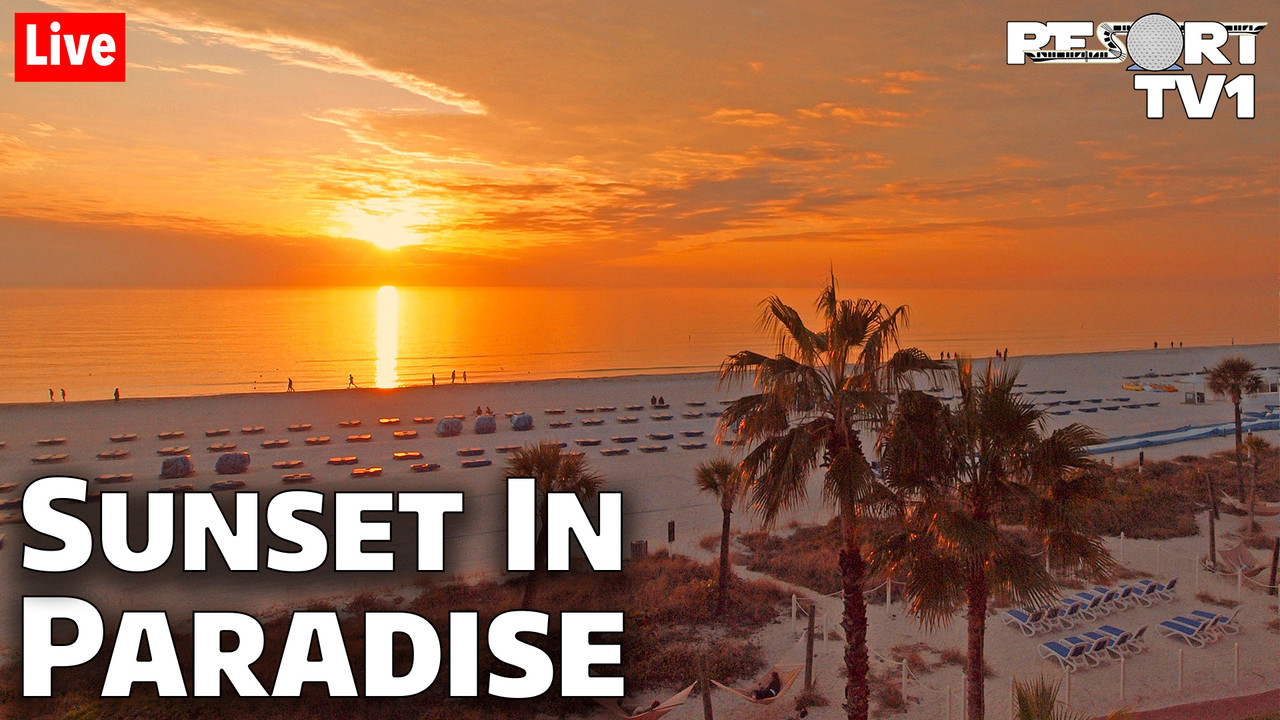 AB1B8368-E469-4A3E-81CE-296B8EEEB874