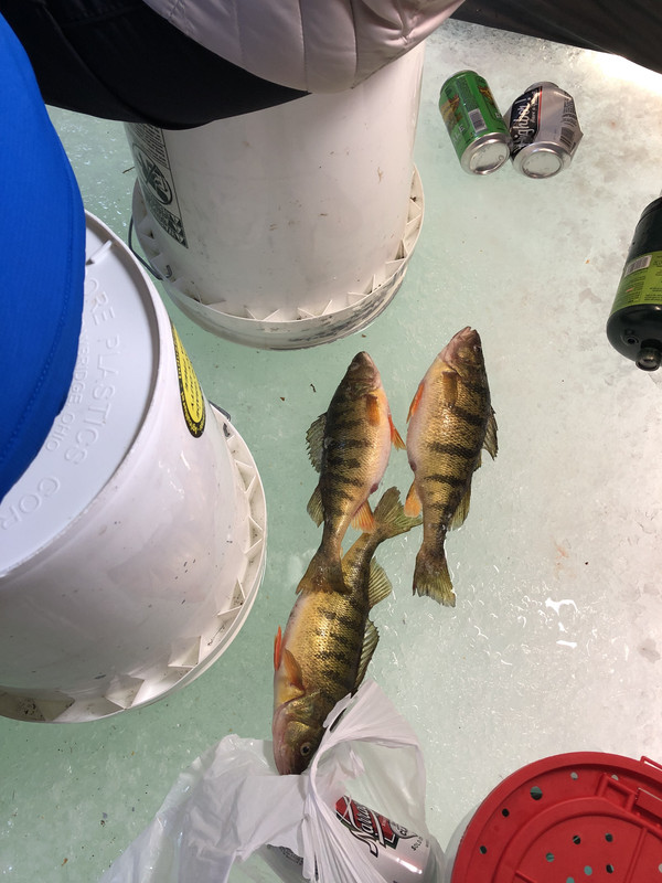 9DB0323C-DE44-42BB-AEA3-18330DD202C3