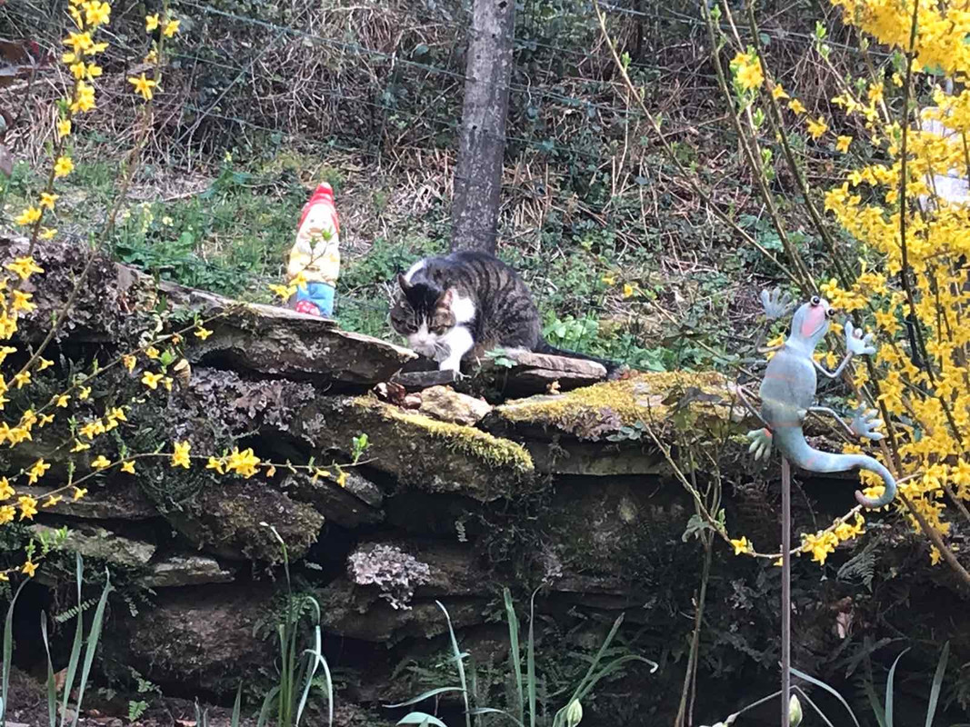 7C4CE02A-A10D-4E4A-A805-55E1DC74C929