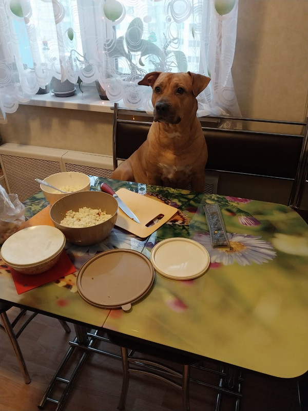 4097EDA0-0843-462F-9D4E-2C5FAFBDC725