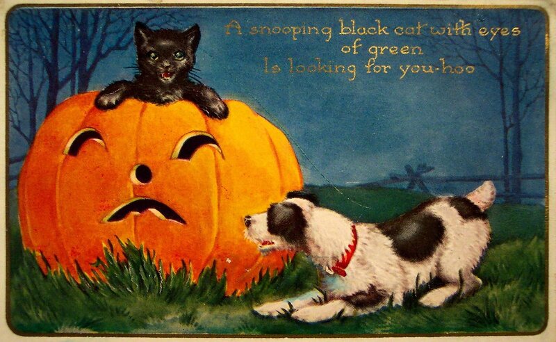 00156-1738x1069x24BPP