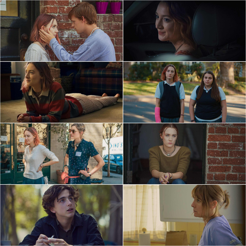 Lady Bird (2017) Dual Audio [Hindi & English] Movie BluRay ESub screenshot