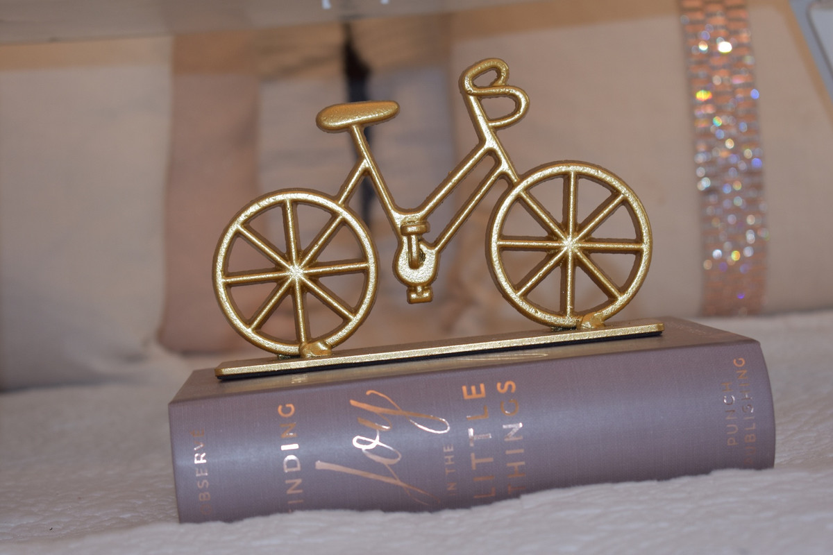 goldbikeandbook.jpg