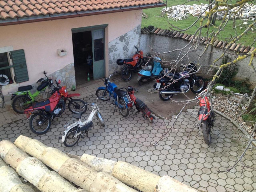 1530492_10202018719323684_207681857_n